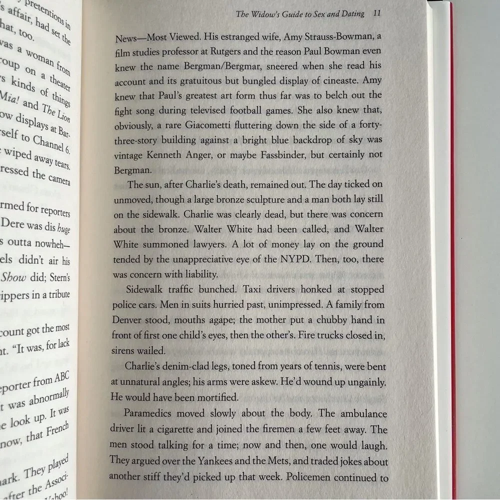 BOOK, The Widow’s Guide to Sex & Dating, a novel, 302 pages, Fiction, NOS - Picture 10 of 16